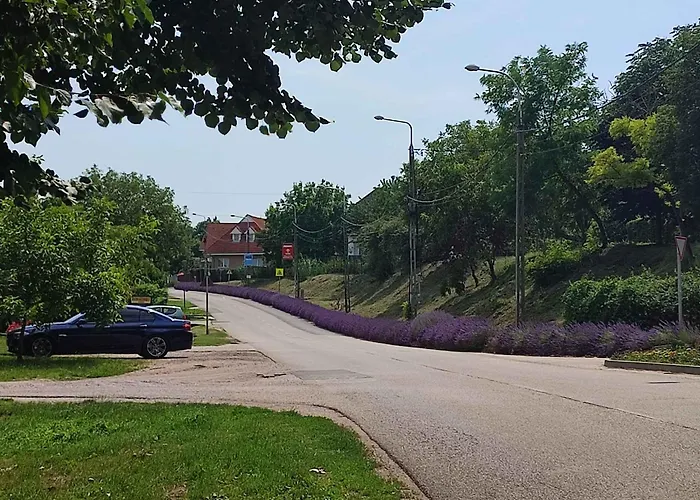 Ferienhaus In 31292 Balatonvilágos